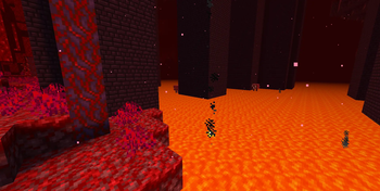 Lava next to Crimson Forest next to Fortress