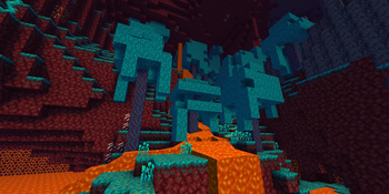 Warped Forest