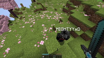 Using PE controls for java in PVP