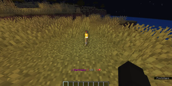 Hud example