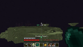 In Game View
