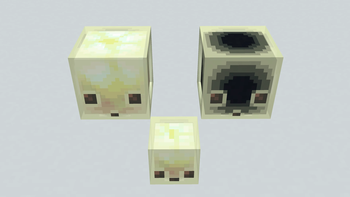 With the Resource Pack