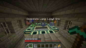 The Portal In Survival