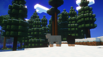 Sheep in the snow