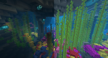 Coral Caves