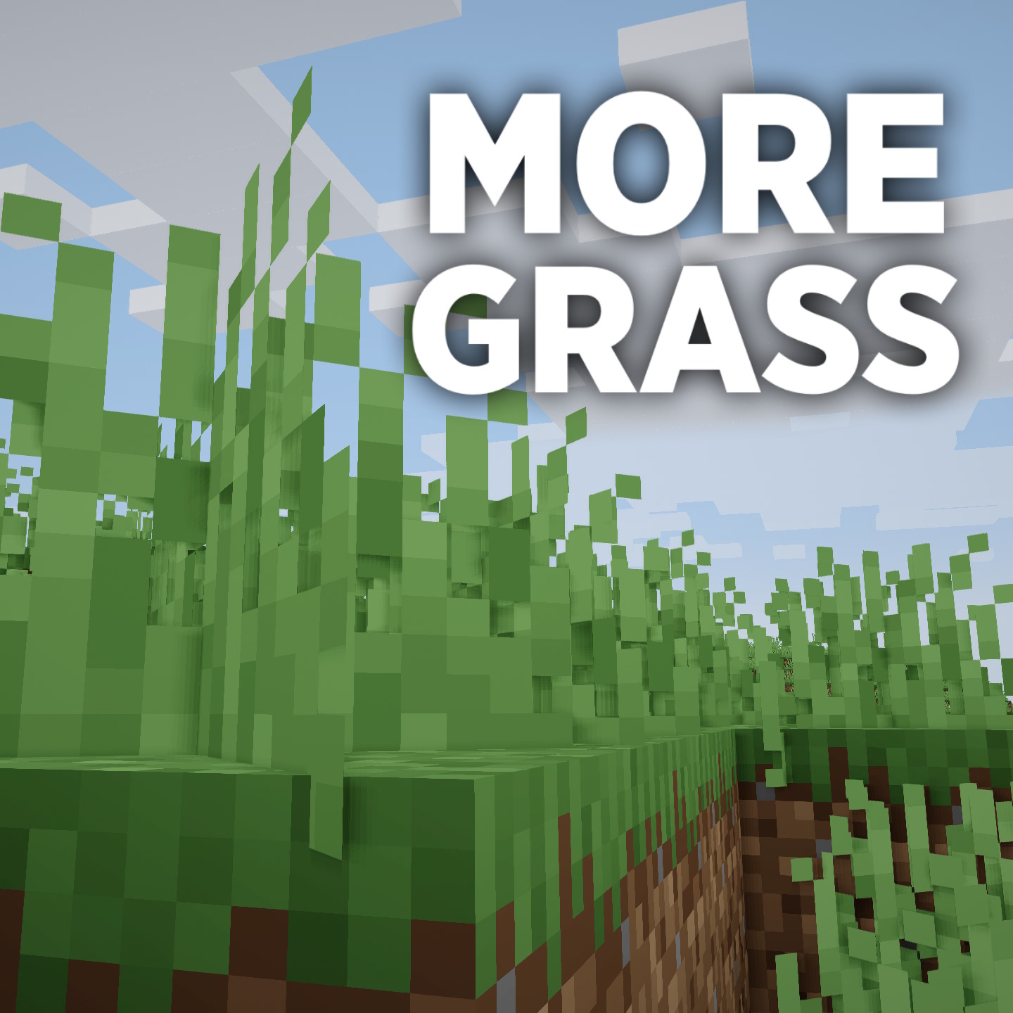 More Grass