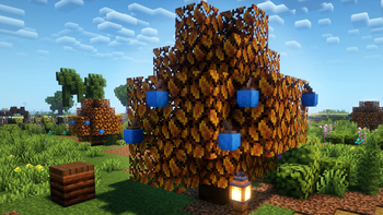 Apricorn Tree