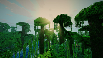 Jungle
