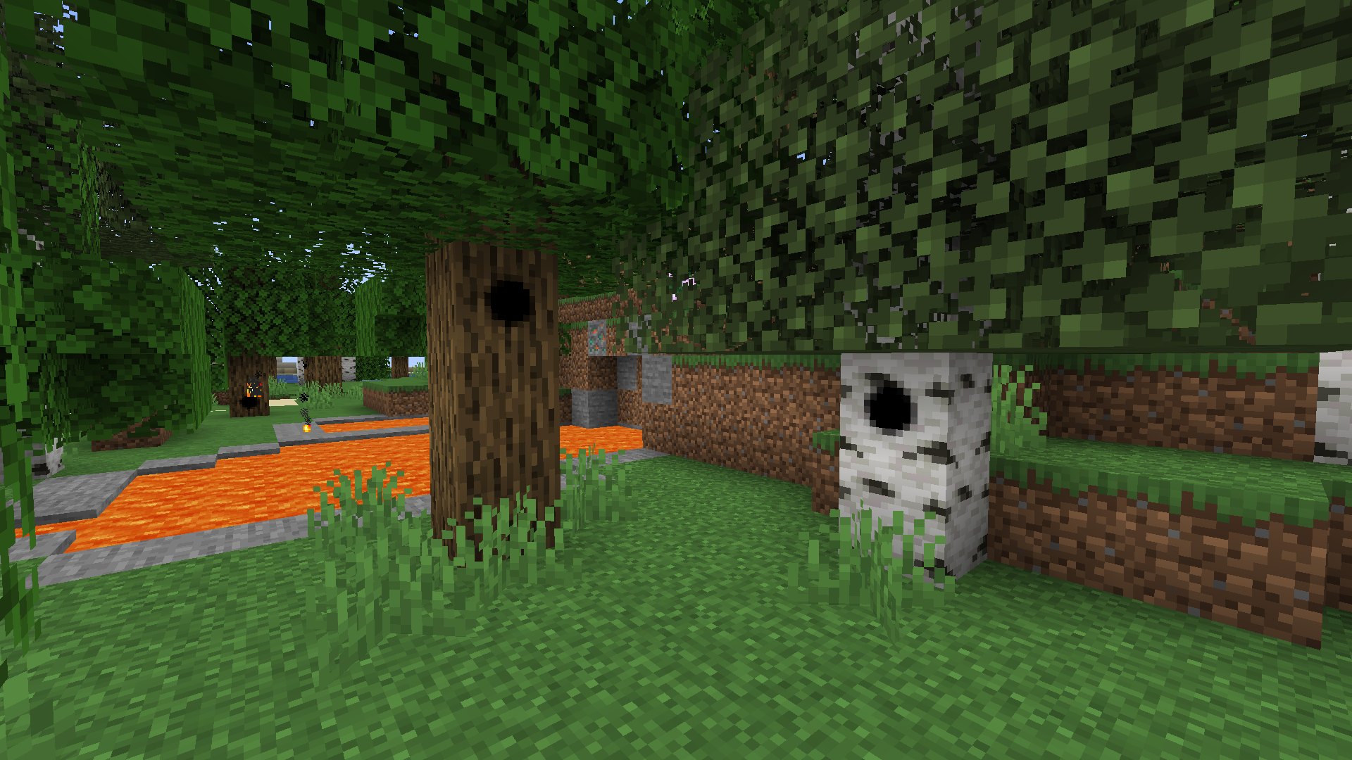 Oak and birch nooks beside a pool of lava.
