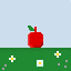 new_grass
