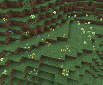 Wildflowers Support