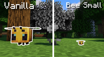 Bee size comparason