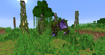 The Jungle