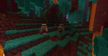 The Warped Forest