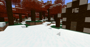 The Snow Maple Forest