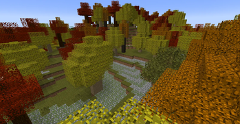 The Autumn Forest