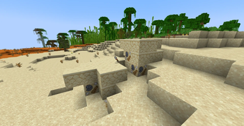 Desert fossil formations