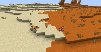 Sandstriders