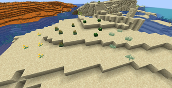 desert plants