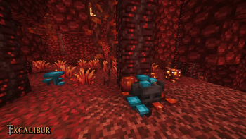 The Nether transforms all who dare too far