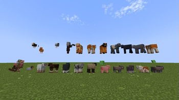 Animation and variety of animals