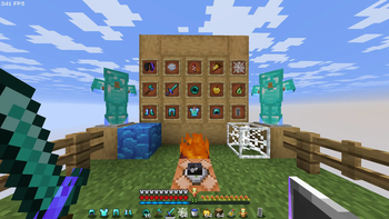Custom Items