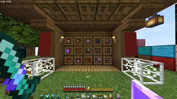 Diamond SMP Items