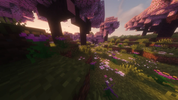 Roseate Bloom