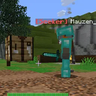Mauzen's block hunt