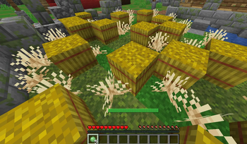 Hidden as Hay Bale