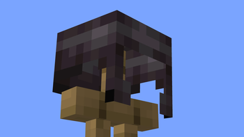 Pixels fixed on the netherite helmet.