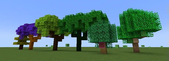 trees!