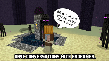 Have Conversations with Endermen