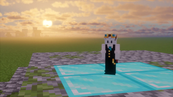 Custom Skin