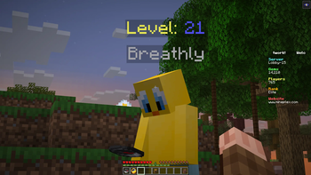 Player Levels