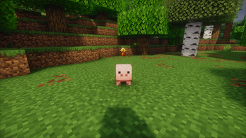 Example with shaders