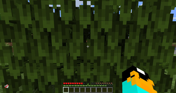 Without texturepack
