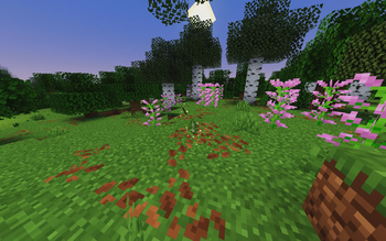 Saplings and Sticks.