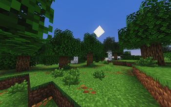 The Forest.