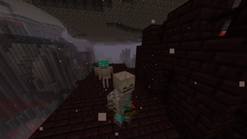 Skeletons in the Nether