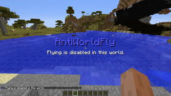 Flying disabled in a world