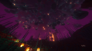 The nether biomes