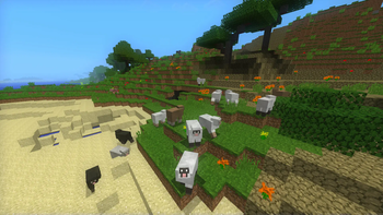 Sheep Variants!