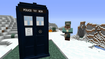 2017 Police Box