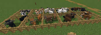 PrimalFauna
