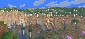 SHADER 