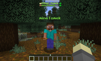Custom Names in Nameplates and the Tab List