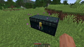 Double Ender Chest placed in plains biome