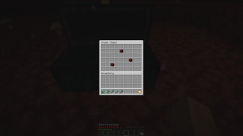 Double Ender Chest container