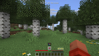 Viewing the menu with the XP converter and palette disabled